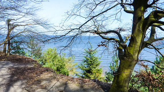 Landschaft